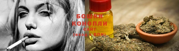 СК Вяземский