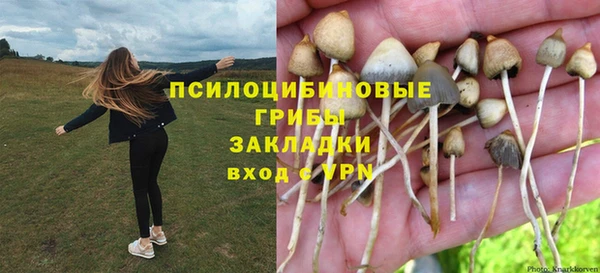 круглые Вязьма