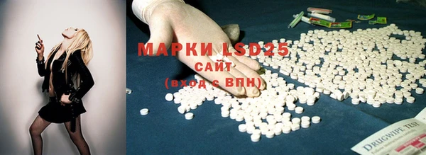 круглые Вязьма